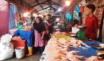 Salah satu pedagang ayam di Pasar Baru Tanjungpinang. (Foto: Roland/Presmedia.id)