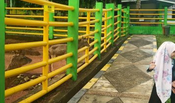 Kawanan Rusa di taman Kebun Binatang Mini Zoo kota Kijang kabupaten Bintan Kawanan Rusa di taman kebun Binatang Mini Zoo kota Kijang kabupaten Bintan (Foto:Hasura/Presmedia)