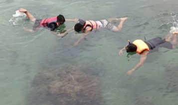 Pengunjung wisata Kelong Apung Bintan Jaya saat melakukan penyelaman Snorkeling menikmati alam bawah laut di Bintan Pengunjung wisata Kelong Apung Bintan Jaya saat melakukan penyelaman (Snorkeling) menikmati alam bawah laut di Bintan. (Foto: Roland/ Presmedia.id)