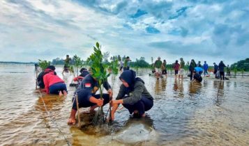 Aksi penanaman bibit mangrove melalui Program Greening Community oleh Banyan Tree Bintan di kawasan pantai Desa pengudang. (Foto: Banyan Tree Bintan)