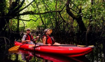 Dua wisatawan Asing saat menikmati keteduhan ekowisata Pengudang Bintan Mangrove di desa Pengudang Kabupaten Bintan Provinsi Kepulauan Riau. (Foto: Dispar Bintan)