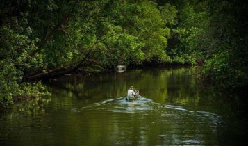 Pengudang Bintan Mangrove Kawasan Strategis Ekowisata Bahari Kepulauan Riau di Kabupaten Bintan. (Foto: Dispar Bintan)