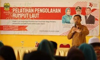 Pemerintah kabupaten Lingga, melalui Dinas Perikanan, mengadakan pelatihan pengolahan rumput laut untuk warga Desa Pelakak, Kecamatan Singkep Pesisir, pada Selasa (6/8/2024).