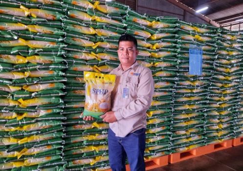Petugas Bulog saat menunjukan stok beras SPHP di Gudang Bulog Tanjungpinang Petugas Bulog saat menunjukan stok beras SPHP di Gudang Bulog Tanjungpinang. (Foto: Roland/Presmedia.id)