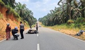 Anggota Satlantas Polres Bintan saat melakukan olah TKP mengevakuasi korban di Jalan Lintas Timur perkebunan kelapa Sawit PT Tirta Madu Bintan. (Foto: Hasura/Presmedia.id)