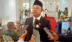 Ketua DPD Partai Gerindra Kepri Iman Sutiawan. (Foto: Presmedia.id)