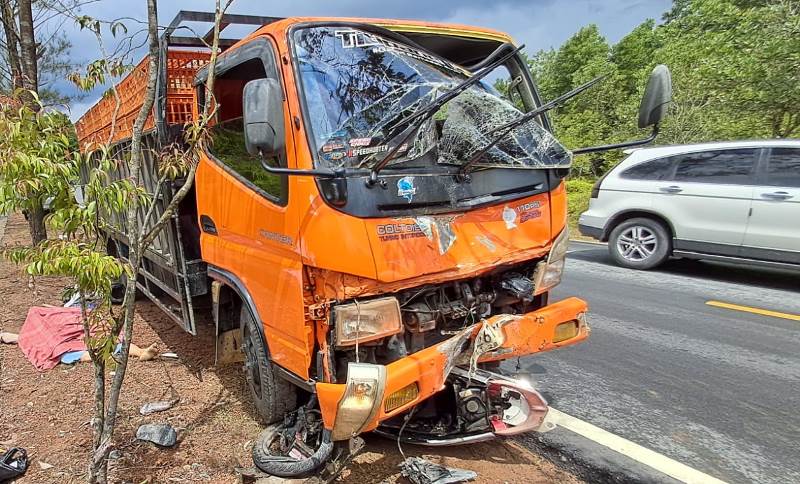 Kondisi lori pengangkut ayam yang menabrak motor pasutri yang tergeletak di bawah kolong bagian depan lori. (Foto: Hasura/Presmedia.id)