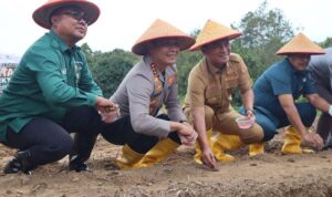 Kapolresta Tanjungpinang bersama Forkopimda menanam bibit jagung sebagai program Swasembada di Dompak. (Foto: Humas)