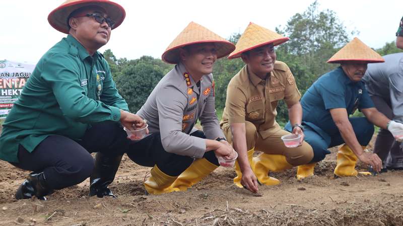 Kapolresta Tanjungpinang bersama Forkopimda menanam bibit jagung sebagai program Swasembada di Dompak. (Foto: Humas)
