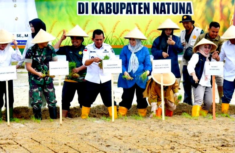 Gubernur Provinsi Kepri Ansar Ahmad, TNI dan Polri bersama pimpinan FKPD lainnya, saat melakukan penanaman Padi di  di Lahan Kelompok Tani Ciptodadi, Kecamatan Bunguran Batubi, Kabupaten Natuna, pada Rabu (12/2/2025). (foto:Diskominfo Kepri)