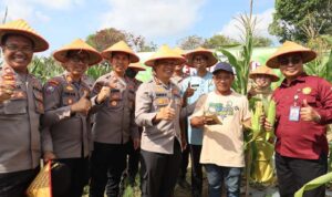 Polresta Tanjungpinang panen raya jagung bersama kelompok Tani Maju Sejati, yang mana lokasi lahan panen jagung di Jalan Nusantara RT 02 RW 06 Kilometer 15 Kelurahan Air Raja, Kecamatan Tanjungpinang Timur, Kota Tanjungpinang. (Foto: Humas)