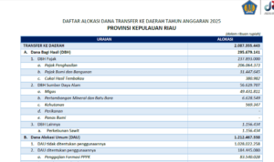 Tangkapan Layar Ini besaran dana Transfer APBN Pusat 2025 ke Kabupaten Natuna.