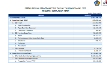 Tangkapan Layar Ini besaran dana Transfer APBN Pusat 2025 ke Kabupaten Natuna.