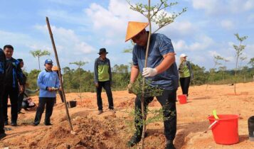 Bupati Bintan Roby Kurniawan melakukan penanaman pohon Ketapang Kencana di kawasan Embung Daerah Aliran Sungai (DAS) Kawal, Toapaya Utara sebagai bagian dari program rehabilitasi lahan kritis, Selasa (22/07/2025).