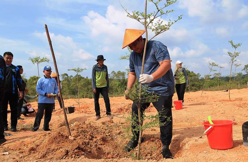 Bupati Bintan Roby Kurniawan melakukan penanaman pohon Ketapang Kencana di kawasan Embung Daerah Aliran Sungai DAS Kawal Toapaya Utara sebagai bagian dari program rehabilitasi lahan kritis Bupati Bintan Roby Kurniawan melakukan penanaman pohon Ketapang Kencana di kawasan Embung Daerah Aliran Sungai (DAS) Kawal, Toapaya Utara sebagai bagian dari program rehabilitasi lahan kritis, Selasa (22/07/2025).