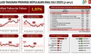 Data BPS kepri mencatat, inflasi year-on-year (y-on-y) Provinsi Kepri pada Juli 2025 mencapai 1,97 persen dengan Indeks Harga Konsumen (IHK) sebesar 108,30. (Foto tangkapan data BPS Kepri)