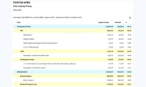 Tangkapan data SKID APBD kota Tanjungpinang hingga 13 Agustur 2025 di Kementeriaan Keuangan.