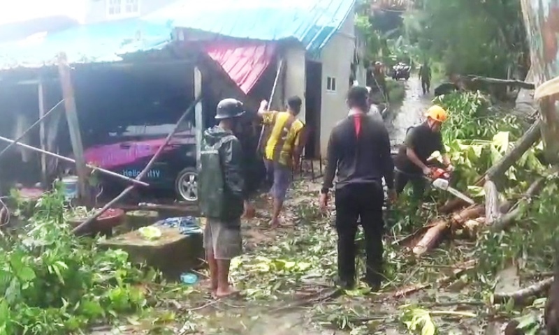 Tim BPBD Tanjungpinang saat melakukan evakuasi pohon tumbang dan menimpa rumah warga akibat cuaca ekstrim hujan deras dan angin kencang melanda kota Tanjungpinang, Selasa (2/9/2025) pagi. (Foto:Roland)