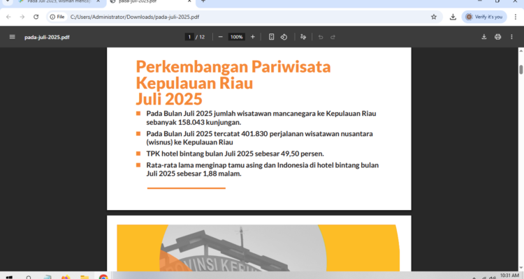 Kunjungan Wisman ke Kepri Juli 2025 Turun, Hunian Hotel Merosot