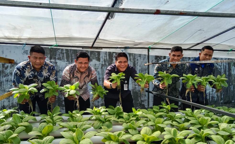 Rutan Kelas I Tanjungpinang berhasil memanen 50 kilogram sayur pakcoy hidroponik segar yang ditanam dengan pendampingan petugas Rutan.(Foto:Ritan Tanjungpinang) 