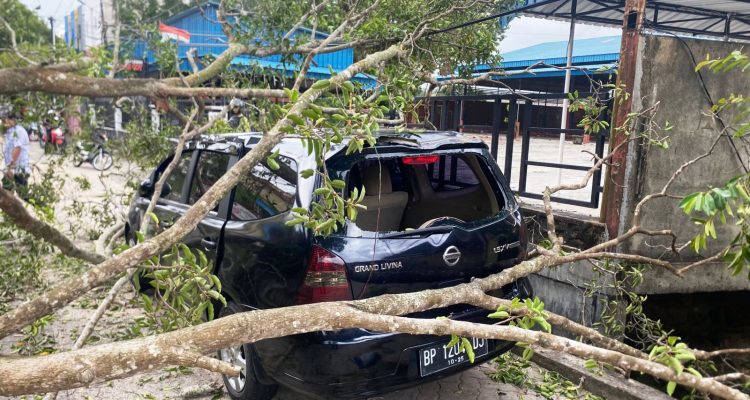 Cuaca ekstrem disertai angin kencang melanda Tanjungpinang pada Kamis (9/10/2025), menyebabkan sejumlah pohon tumbang dan menimpa satu mobil Nissan Grand Livina hitam Nopol BP1204 DJ di Jalan Engku Putri (Foto: Roland/Presmedia )