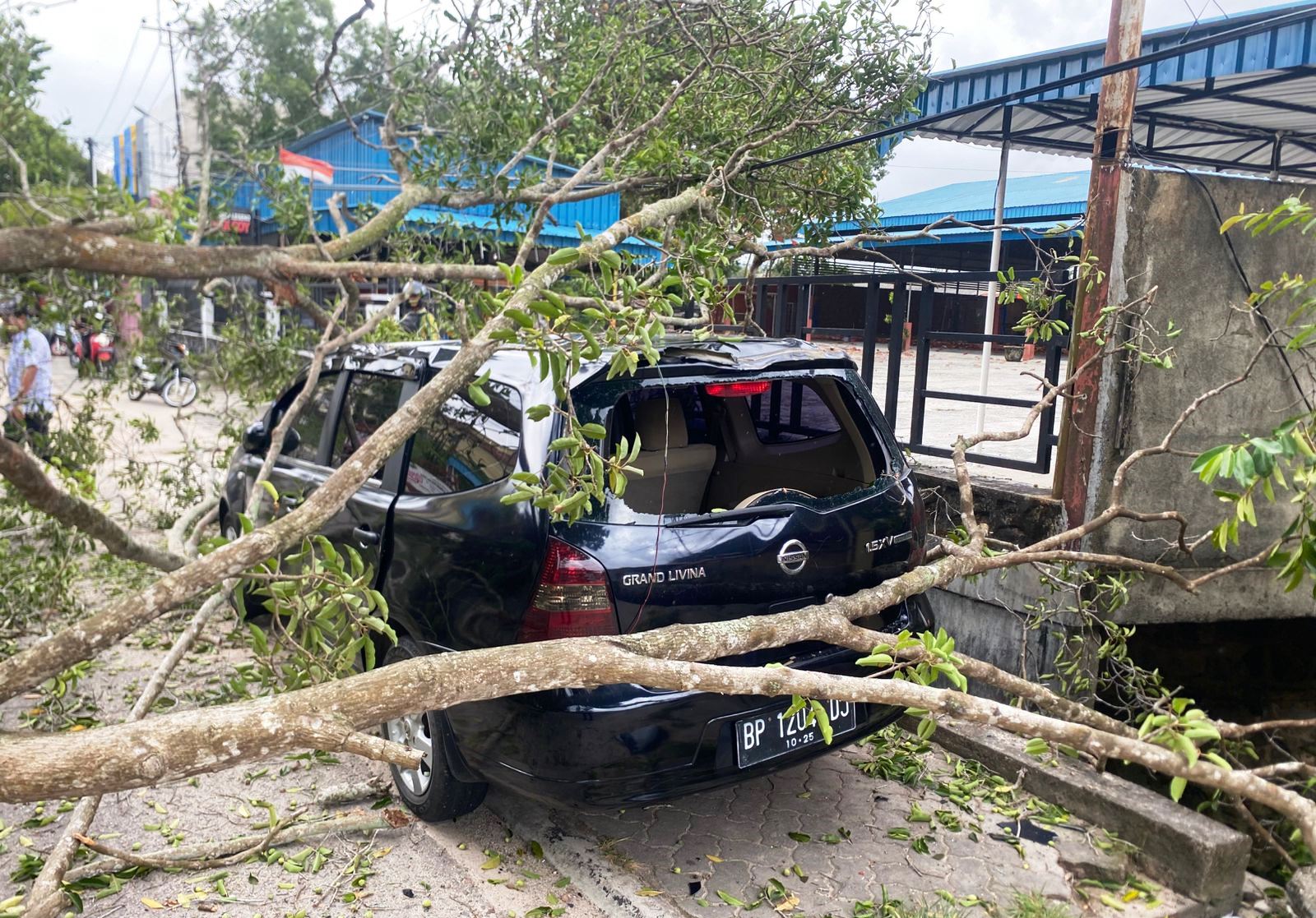 Cuaca ekstrem disertai angin kencang melanda Tanjungpinang pada Kamis (9/10/2025), menyebabkan sejumlah pohon tumbang dan menimpa satu mobil Nissan Grand Livina hitam Nopol BP1204 DJ di Jalan Engku Putri (Foto: Roland/Presmedia )