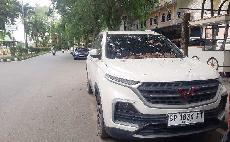 Mobil Wuling jenis Almax EX BP 1834 FT teronggok hinga 3 bulan lebih di kawasan Street Food Bintan Center, Kota Tanjungpinang diduga gunakan nopol bodong.(Roland/Presmedia)